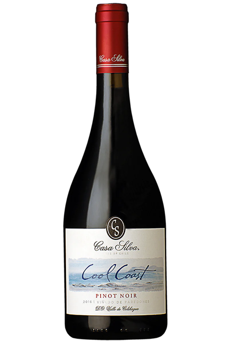 Best Summer Wines